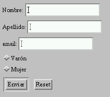 Ejemplo de representaci�n de un formulario.